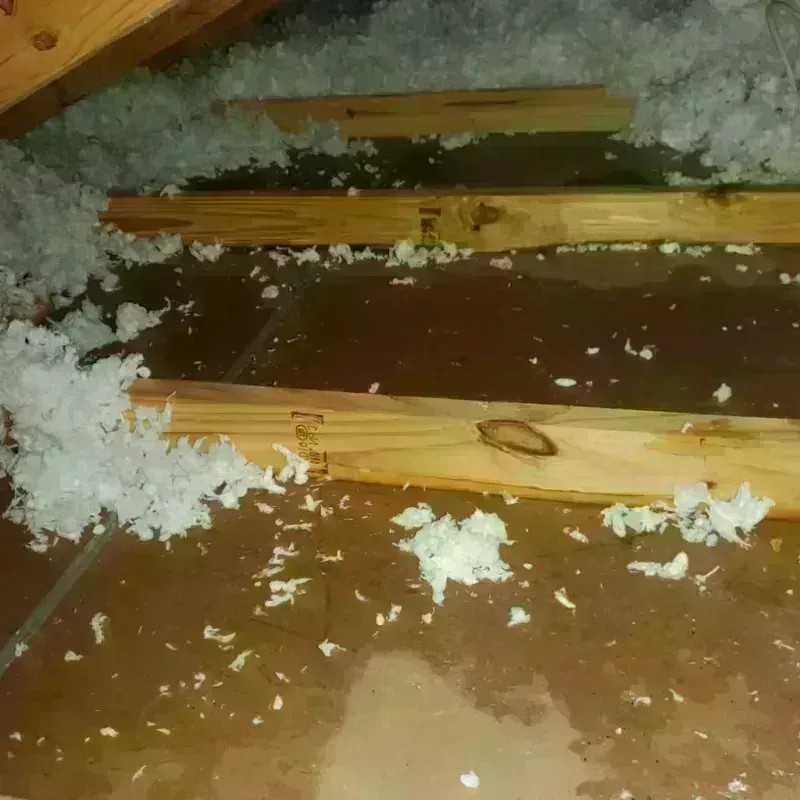 Attic Water Damage in Orford, NH